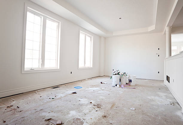 Professional Mold Removal in Orlinda, TN